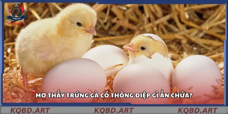 Mơ thấy trứng gà có thông điệp gì ẩn chứa?